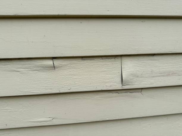 Best Foreclosure Cleanout  in Waldo, AR